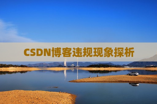 CSDN博客违规现象探析